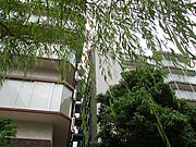 県庁前駅より徒歩3分 5階 築48年8ヶ月の賃貸物件