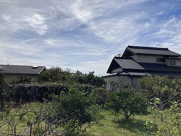 家庭菜園の樹木