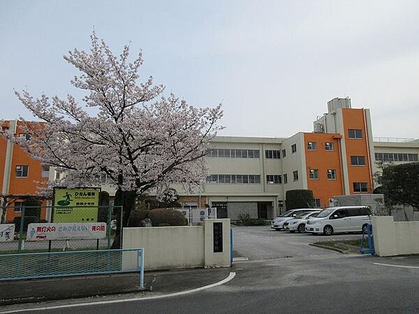 桜田小学校　約350ｍ