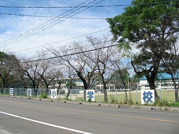 田野小学校