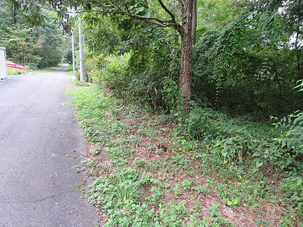 本物件は道路の右側（電柱の手前まで）