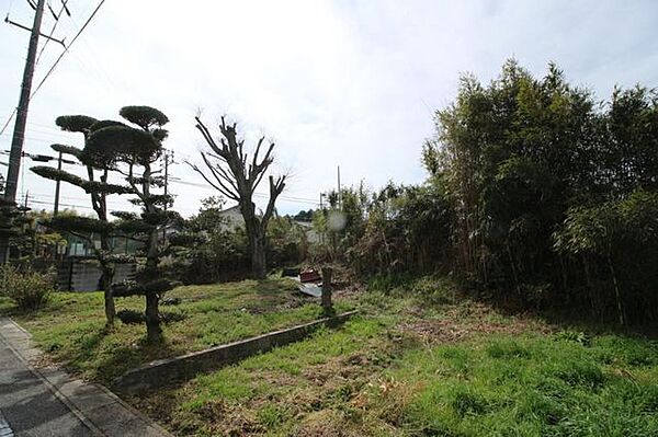 幸田町坂崎の売り土地です！（分家用地）土地面積　715.22m2　約216.35坪！！建築条件なし！！陽当たり良好です！！