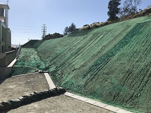 外観：347000022958