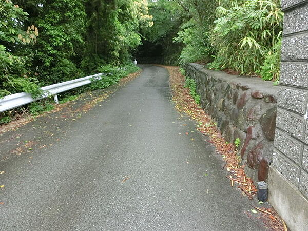 南西側道路状況