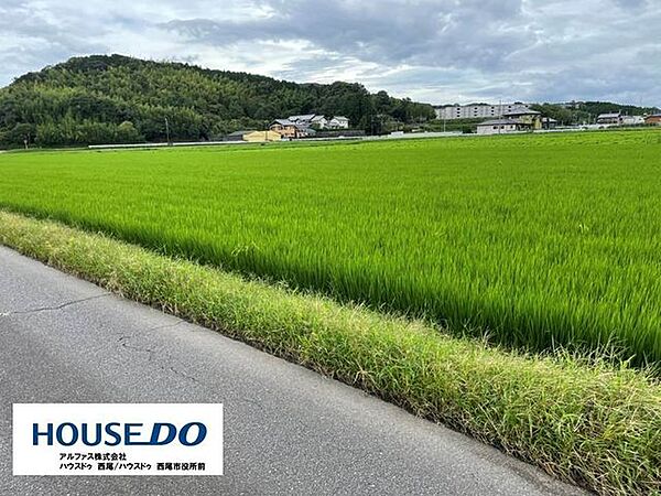 外観：323000467367