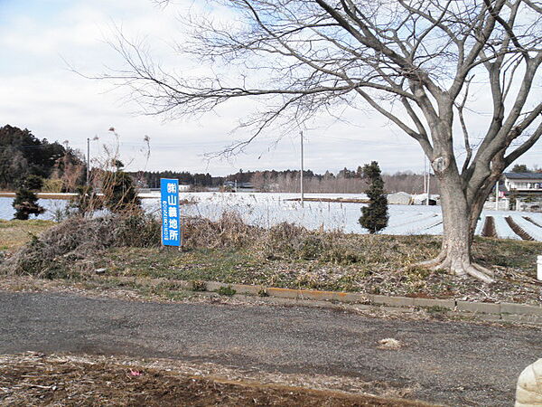 外観：308000158354