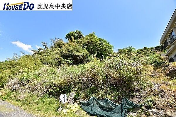 段々になっている敷地部分です