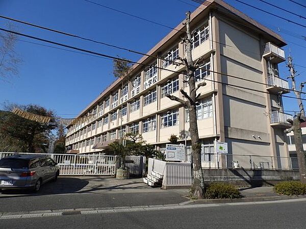 【西田小学校】甲突川の西部にあり、武岡と常盤の森の間に広がっています。エリアに鹿児島中央駅西口が含まれており学校から中央駅までは歩いて20分程度で行けます。 800m