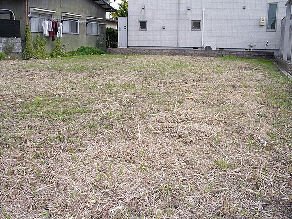 外観：321000069897