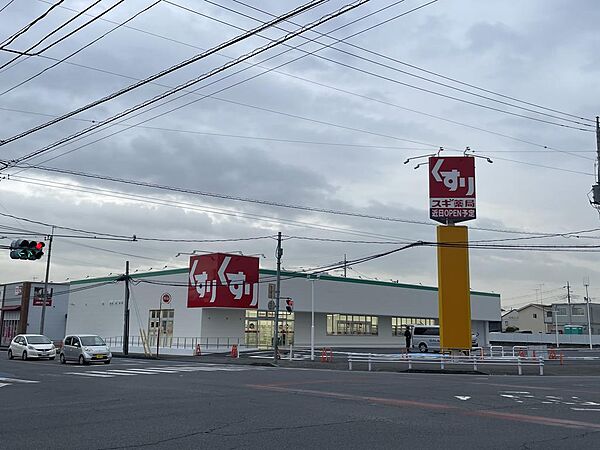 交差点に大型ドラッグストアあり