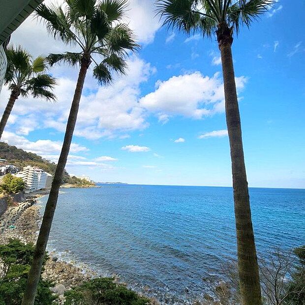 バルコニーからの眺望　熱海にいながらハワイを感じます