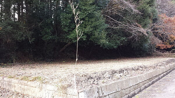 外観：308000158296