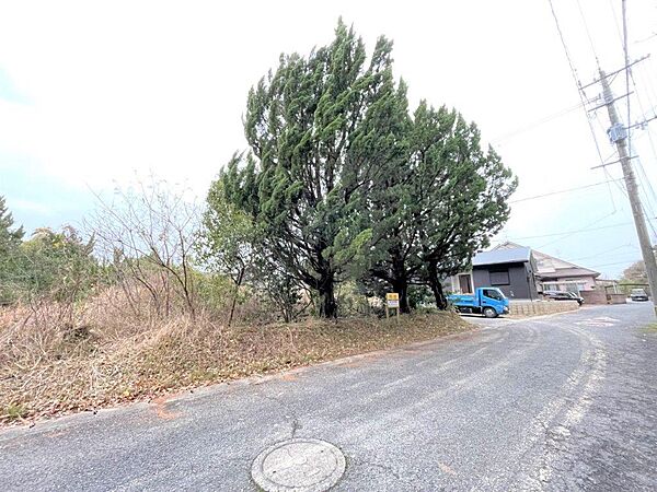 周辺の木々が四季折々の彩りを添え、潤いのある住環境を生み出します。