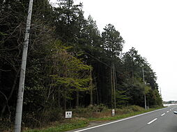 茨城県小美玉市佐才35-43、-44