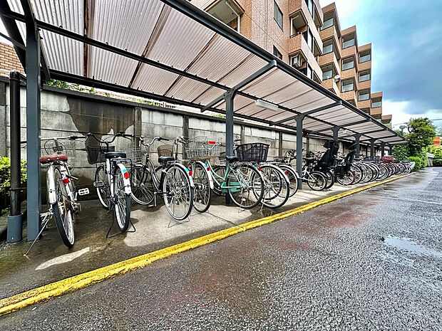 お休みの日には多摩川沿いを自転車でサイクリングはいかがでしょうか。