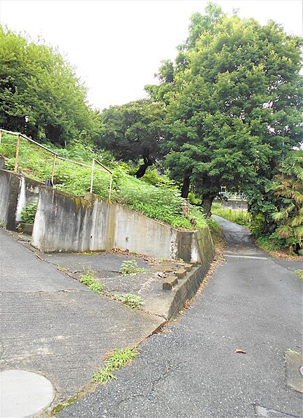 二項道路