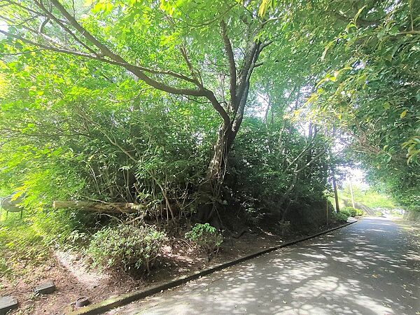 外観：322000432771