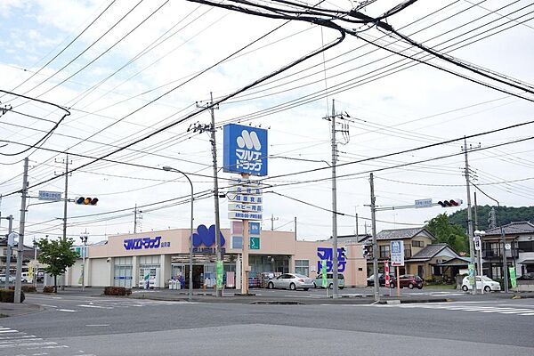 マルエドラッグ山川店（738m）