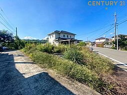 和歌山県紀の川市桃山町市場