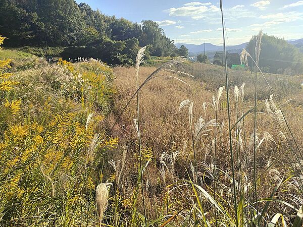 外観：329000131210