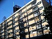 東大路高野第３住宅２８棟 2階 築44年7ヶ月の賃貸物件