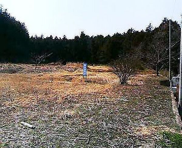 外観：308000158239