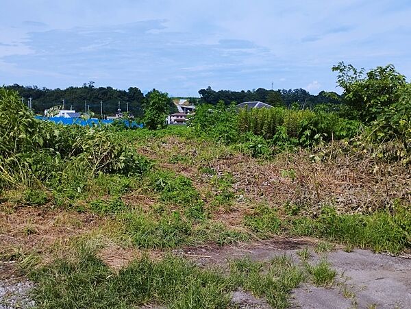 外観：310000029196