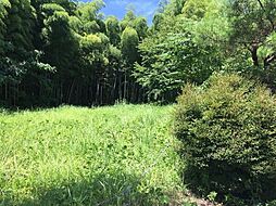 栃木県塩谷郡塩谷町大字熊ノ木