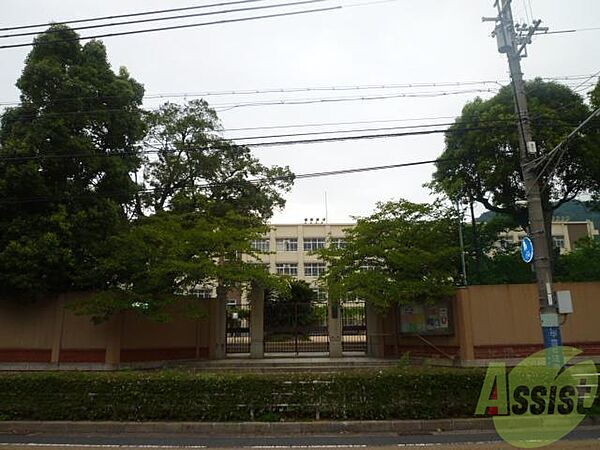 画像24:神戸市立雲中小学校 43m