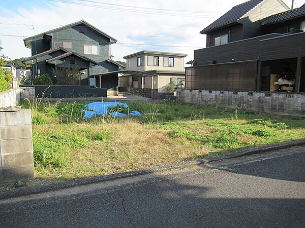 外観：335000031202