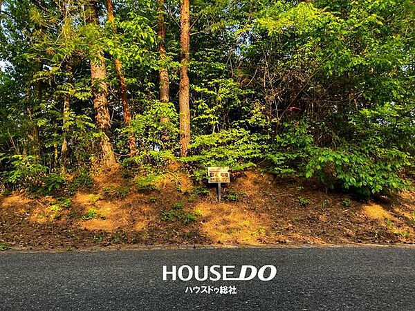 外観：333000043512