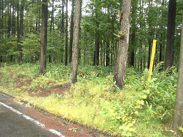 外観：320000026474