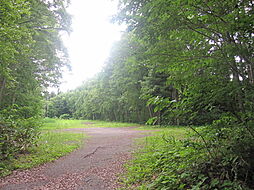 長野県上水内郡信濃町大字富濃