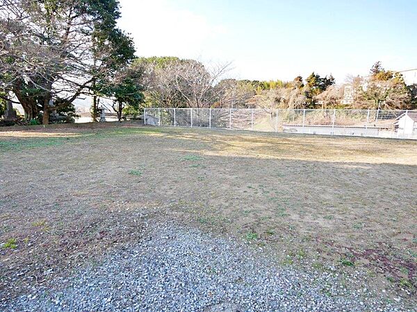是非現地でご確認ください。