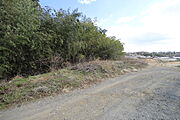 本格的な家庭菜園ができますね　