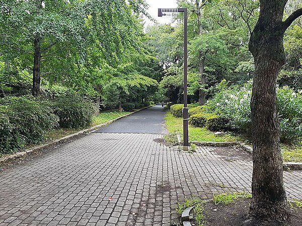 画像20:花博記念公園鶴見緑地まで900m
