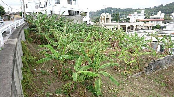 外観：347000022186