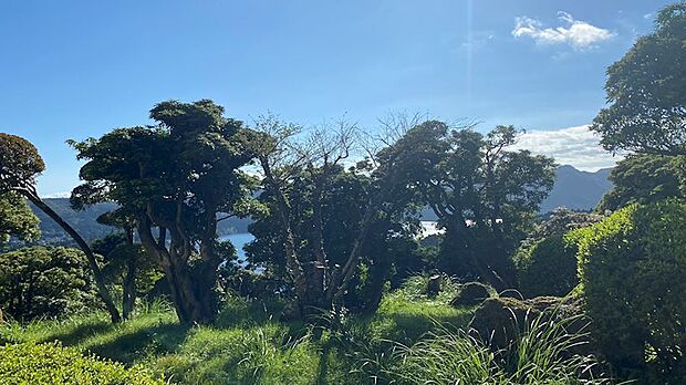 バルコニーからの眺望は、マンション敷地内の庭園でございます。木々の隙間から微かに芦ノ湖が見えます。