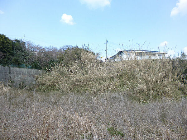 外観：335000031188