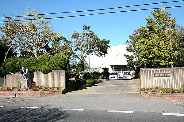 緑海小学校まで４８０ｍ