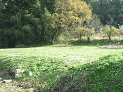 茨城県小美玉市川戸