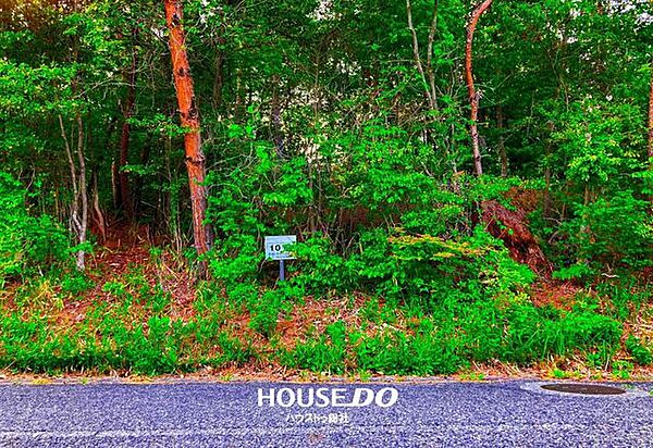 外観：333000043383