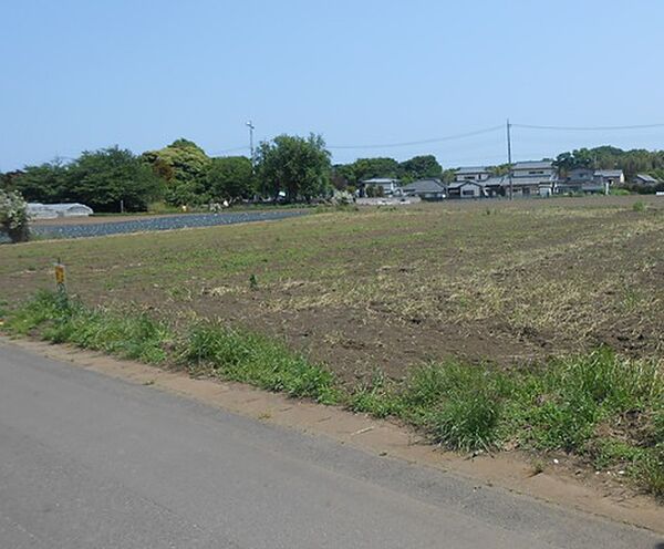 外観：308000059515