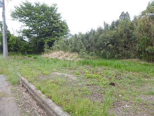 外観：312001199365