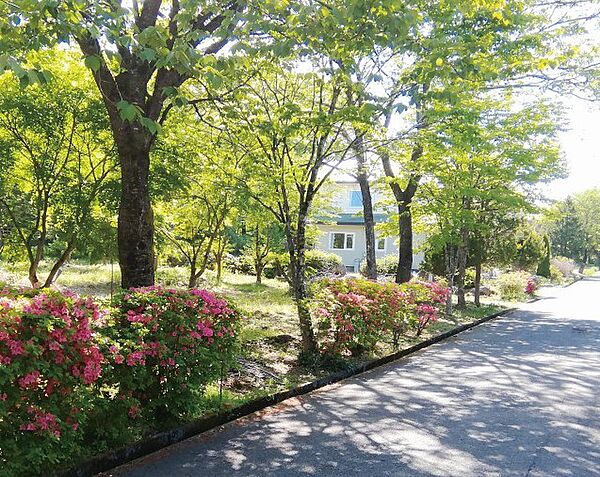 外観：307000077467