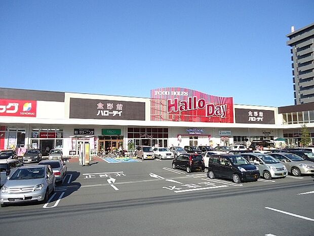 ハローデイ共立大前店（800m）