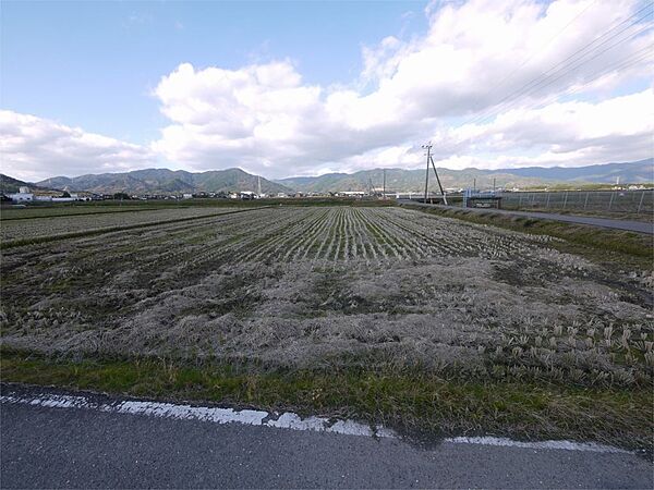 外観：341000026824