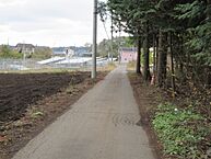 茨城県水戸市開江町：物件画像