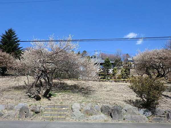 外観：310000067196