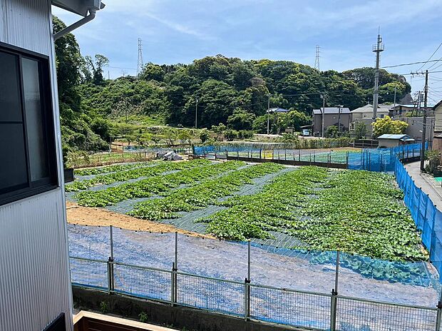 南側は現在畑の為、開けています 